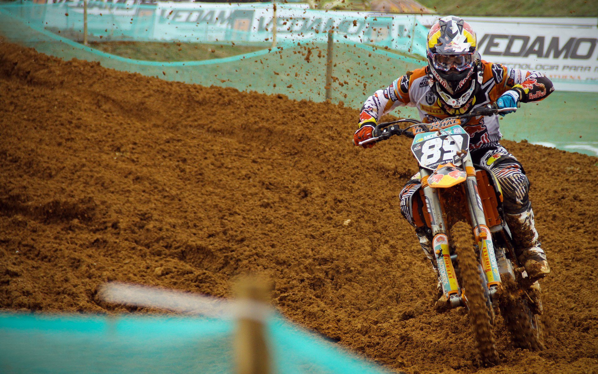 布莱顿客场惊喜取分,赛季表现亮眼,布莱顿首发